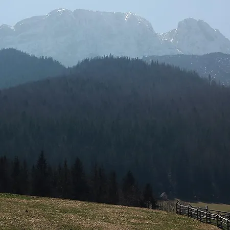 Homestay szállás Willa Pod Halami Zakopane